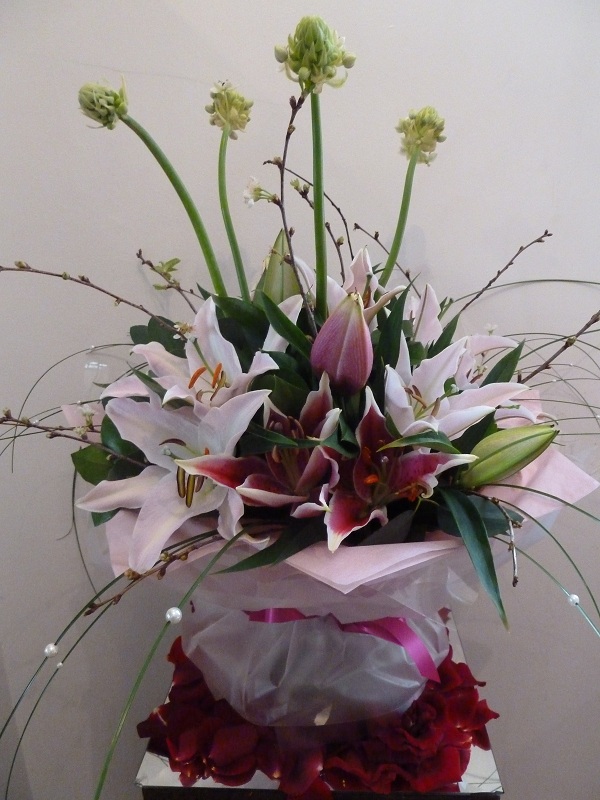 Lily Lover