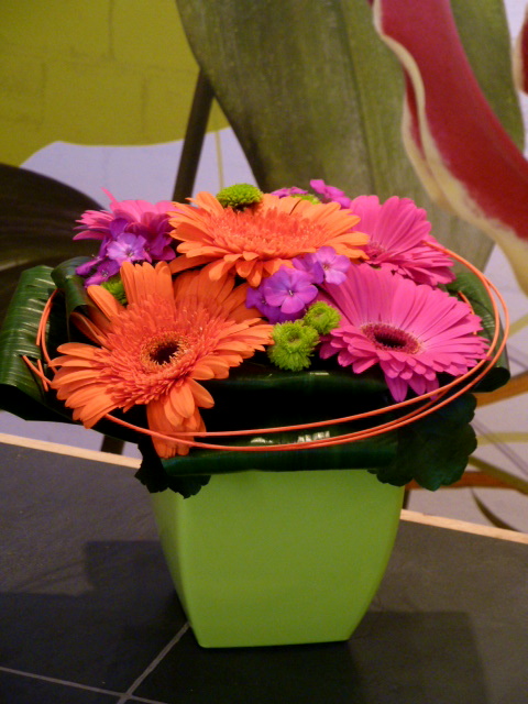 Funky Gerbera Cube