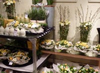 Inside Eden  –  The Flower Shop
