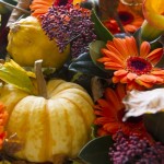 autumn close up
