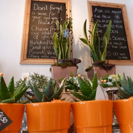 #sliderCaption7 Inside Eden florist shop interior in Taunton