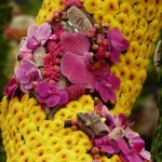 Arm detail - santini chrysathemum base with star embellishment jockey silk chelsea flower show charlotte murrant