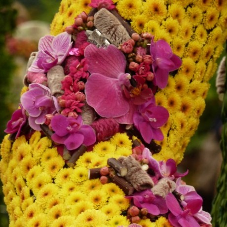 #sliderCaption5 Jockey silk floral design by Charlotte Murrant at Chelsea Flower Show