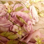 lisa front cover fusion flowers 1