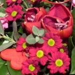 valentine close up