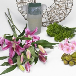 lily workshop